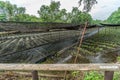 Wasabi plantation shelter field at Daio Wasabi Farm. Ã¥Â¤Â§Ã§Å½â¹Ã£âÂÃ£Ââ¢Ã£ÂÂ³Ã¨Â¾Â²Ã¥Â Â´ Royalty Free Stock Photo